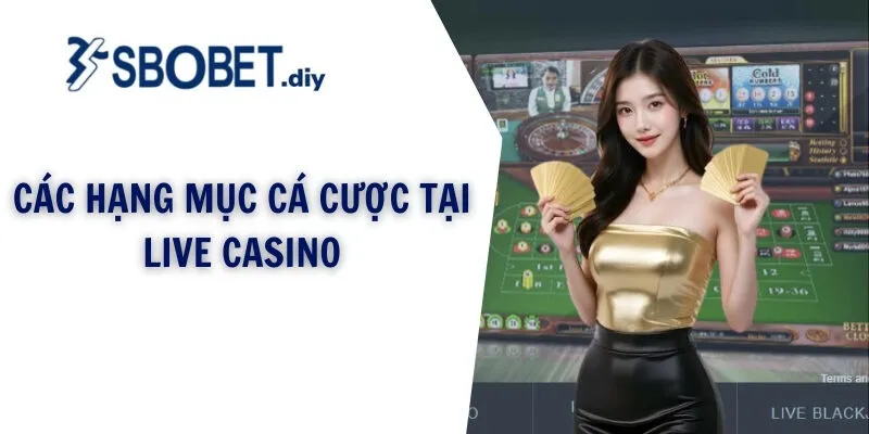 Các hạng mục cá cược tại live casino